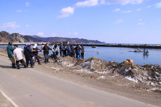 Recovery / A member of JF / Shimanokosi port / Cleaning