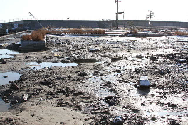 Damage / Taneichi office of Iwate Sea-Farming Association / Product promotion center / Seaside park