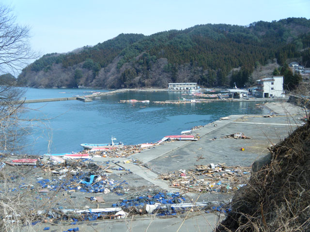 Aokidoboku Tsunami / Disaster