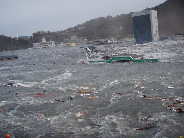 Harbor / Tsunami struck the office