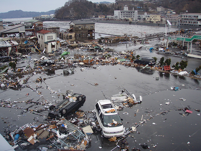 Harbor / Tsunami struck the office