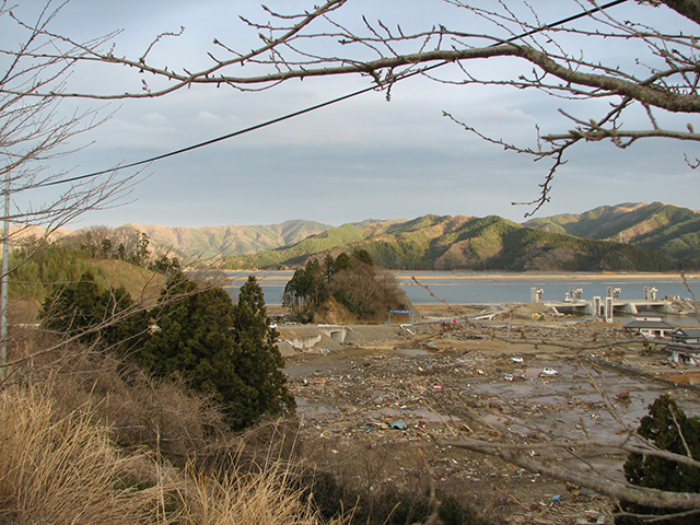 Nikkori park / Damage