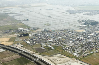 写真：七郷地区によみがえった水田