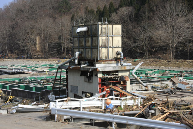 平成23年3月14日 島川撮影