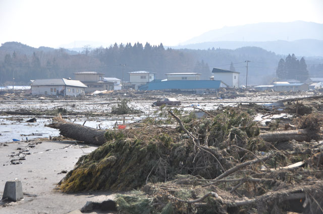 久慈支部 平成23年3月13日 野田村の被害