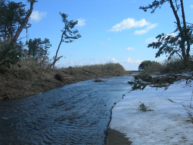 久慈 平成23年3月18日 野田村