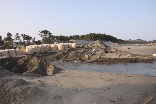 菖蒲田浜 堤防