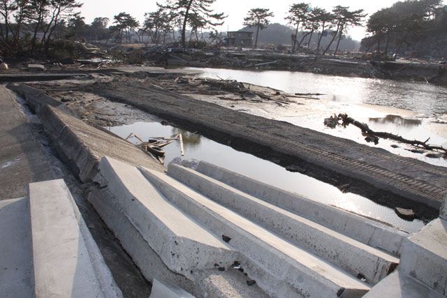 菖蒲田浜 堤防