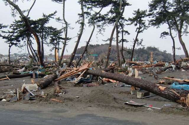 町民からの写真提供 震災