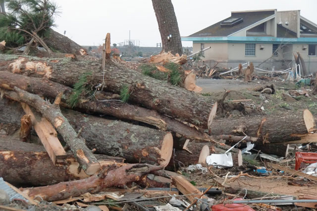 町民からの写真提供 震災