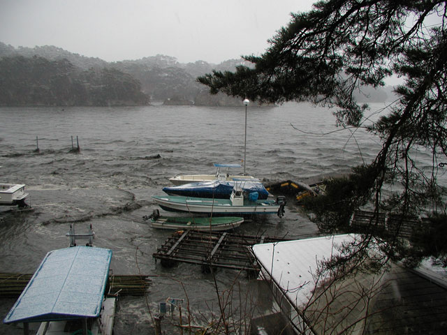 浜田漁港 津波