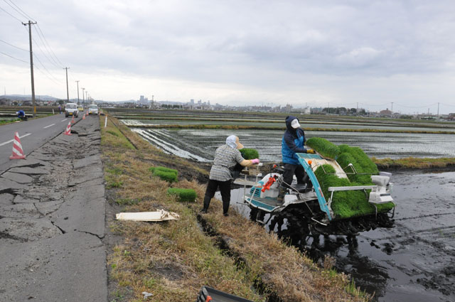 復興 田植え