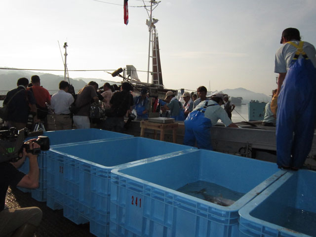 復興 カツオ一本釣船 初入港