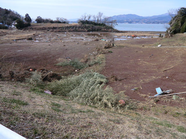 被災 大島