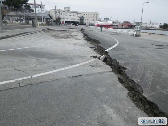 Damage / Fish market