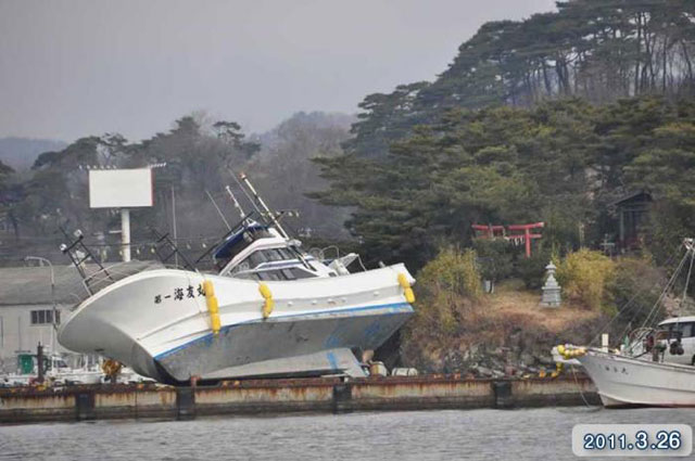 被災 魚市場