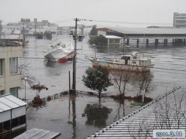 被災 魚市場