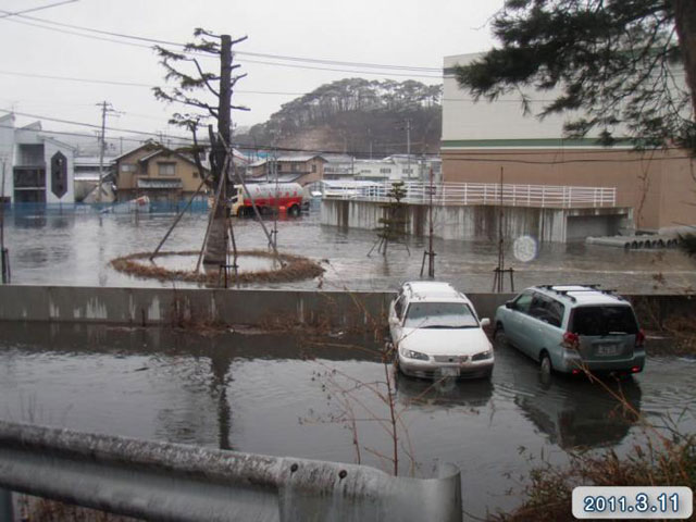 被災 魚市場