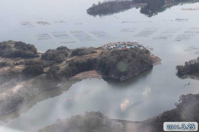 海岸 空撮 航空写真 浦戸諸島 朴島