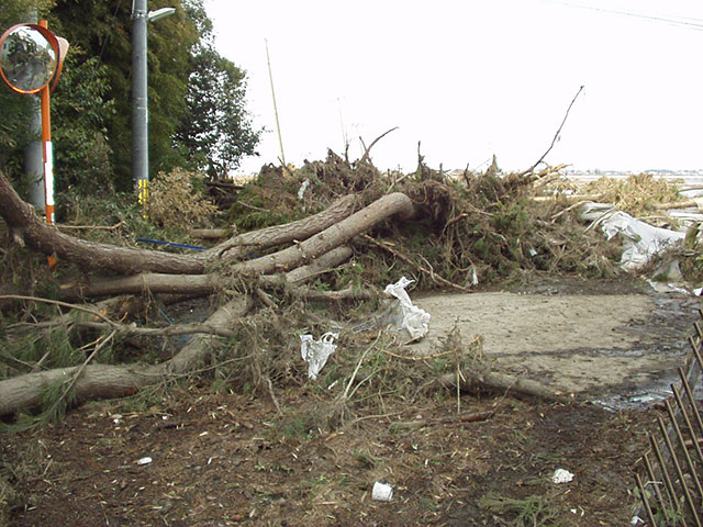 Wakabayashi / Municipal road / Damage