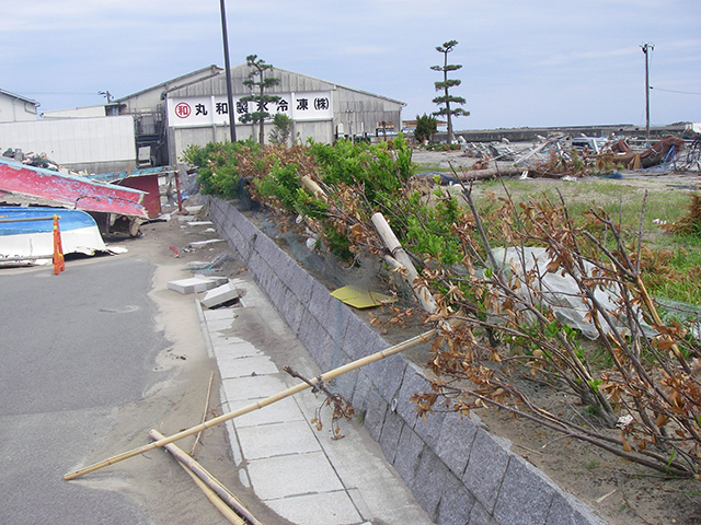 被災 よつくら港