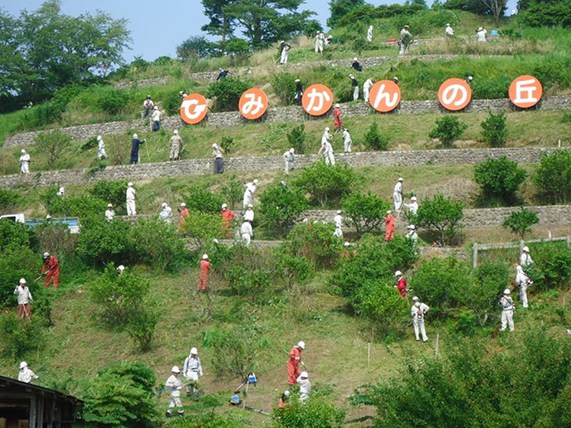 除染 広野町除染作業状況写真 