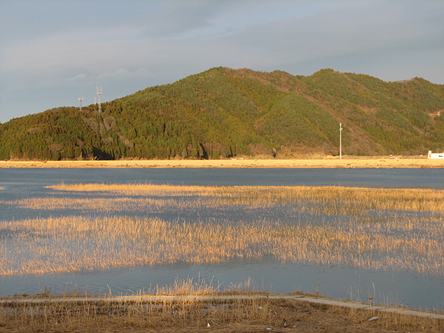 被害 河川