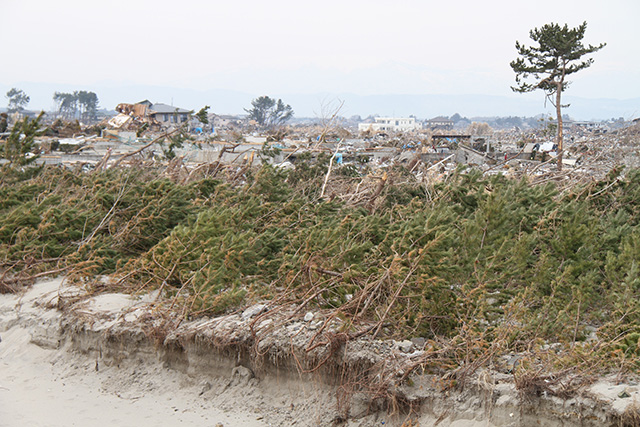 被害 宮城野区 深沼