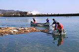 岩手県 田野畑村 復旧 漁協組合員 島越漁港 清掃