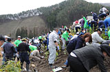 岩手県 大槌町 ボランティア 植樹