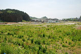 岩手県 大船渡市 復旧 赤崎町