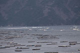 岩手県 山田町 津波