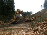 岩手県 山田町 建設課提供 平成23年4月22日