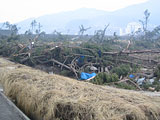 岩手県 山田町 農林課提供 平成23年3月15日 浦の浜水門(県小野主査撮影)