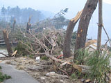 岩手県 山田町 農林課提供 平成23年3月15日 浦の浜水門(県小野主査撮影)