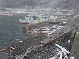 岩手県 山田町 農林課提供 平成23年3月23日