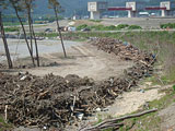 岩手県 田野畑村 岩泉 小本 田老 田野畑 岩泉町 小本港