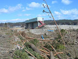 岩手県 野田村 久慈 平成23年3月18日 野田村