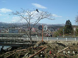 岩手県 久慈市 久慈