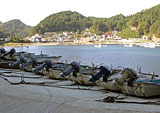 岩手県 田野畑村 平井賀漁港