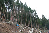 岩手県 田野畑村 被災 羅賀