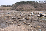 宮城県 七ヶ浜町 花渕浜