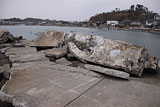 宮城県 七ヶ浜町 港湾 花渕浜 崩落