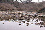 宮城県 七ヶ浜町 花渕浜