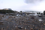 宮城県 七ヶ浜町 菖蒲田浜