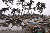 宮城県 七ヶ浜町 菖蒲田浜