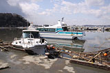 宮城県 七ヶ浜町 代ヶ崎浜