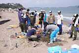 宮城県 七ヶ浜町 ボランティア 海岸 清掃