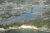 宮城県 七ヶ浜町 空撮 航空写真 国土地理院