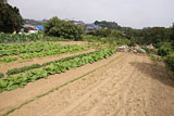 宮城県 七ヶ浜町 花渕浜高台写真